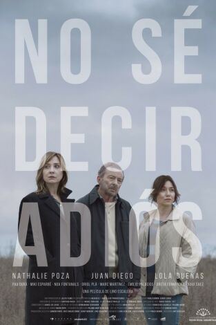 No sé decir adiós