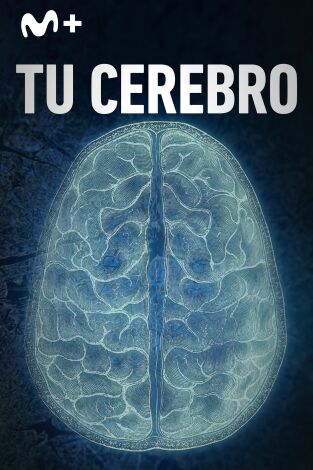 Tu cerebro: La percepción