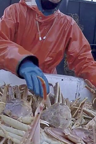 Pesca radical: Pesca radical