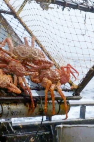 Pesca radical: Desorden en la frontera