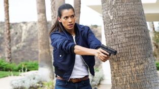 S.W.A.T.: Los hombres de Harrelson (T2): Ep.8 La experiencia Tiffany