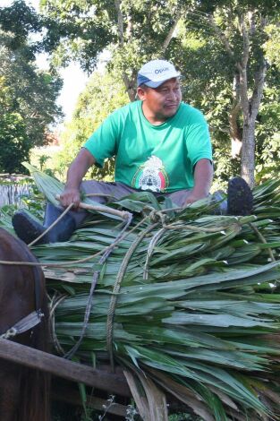 ¿Cómo lo hacen?: Chicle, anzuelos y Legoland