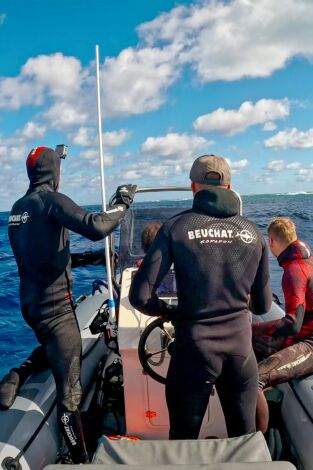 Pesca submarina en los mares del sur: Episodio 5