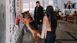 Hudson y Rex (T3): Ep.13 Una mansión sobre una colina