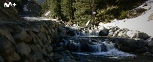 Tor: una historia de Carles Porta: Palanca