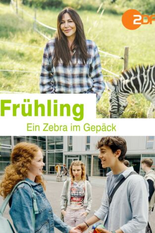 Una cebra en el equipaje