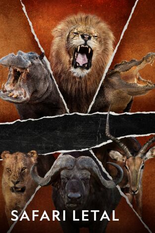 Safari letal: Dientes vs. garras