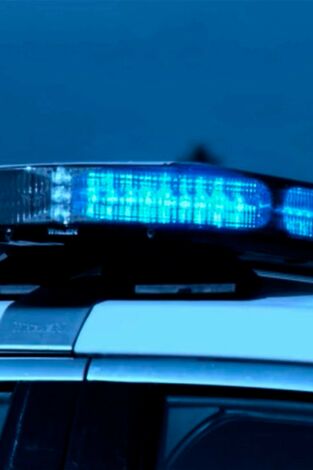 Crímenes en Alaska: Asesinato en la isla