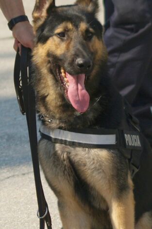 Control de fronteras: España: Episodio 12