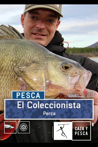 El coleccionista: Perca