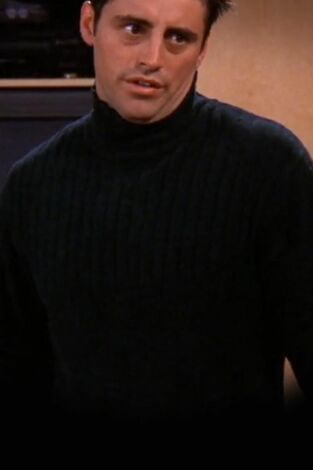 Friends (T5): Ep.10 El de la hermana inapropiada