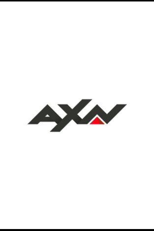 Sue Thomas: el ojo del FBI (T2): Ep.5 El juego de los recién casados