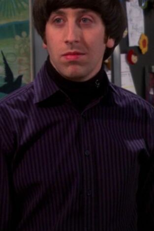 Big Bang (T6): Ep.19 La reconfiguración del armario