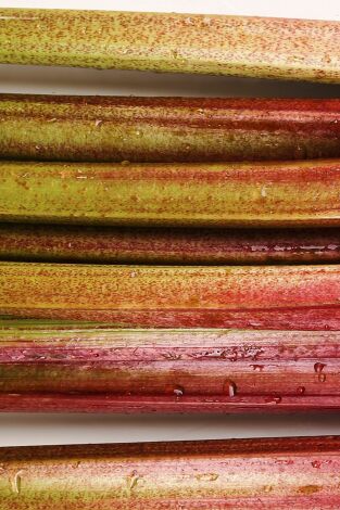 ¿Cómo lo hacen?: El mundo en miniatura / Centro de pruebas para huracanes / Ruibarbo