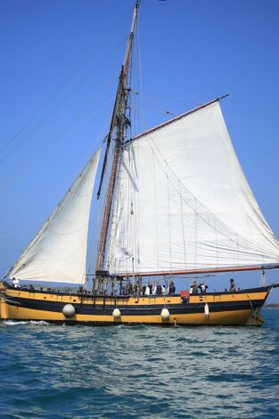 Thalassa: El Serrallo, barri mariner