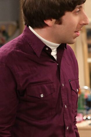 Big Bang (T6): Ep.22 La resurgencia del protón