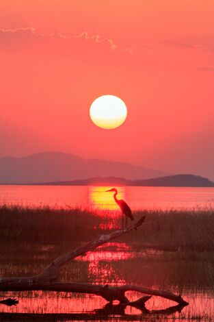 De pesca en el lago Kariba, Zimbabwe