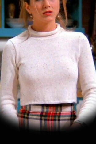 Friends (T1): Ep.19 El de cuando se escapa el mono