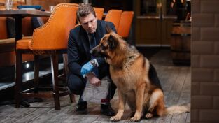 Hudson y Rex (T2): Ep.15 Perro viejo, trucos nuevos