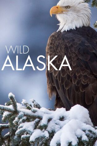 Alaska salvaje: Invierno