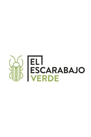 El escarabajo verde: Primer elemento