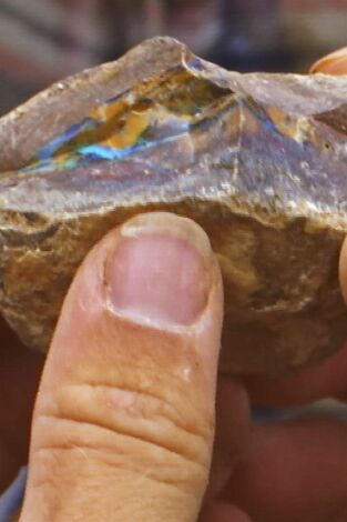 Cazadores de gemas: Un barril lleno de frutos secos