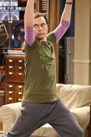 Big Bang (T7): Ep.13 La reorganización de la profesión