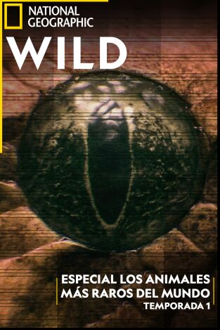Especial Los animales más raros del mundo: La supervivencia de los más raros