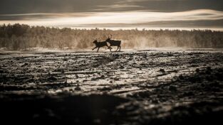 Nuestro planeta (One Strange Rock): Terraformación