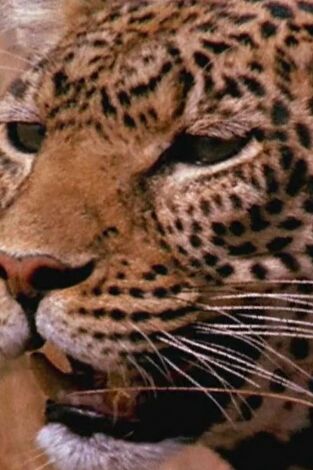 Dúo de supervivientes: En el menú