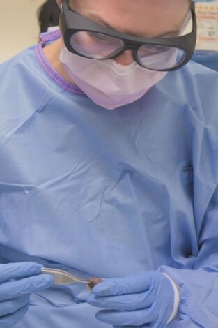 Dr. Emma: clínica dermatológica: Katie, Krish, Keith y Miya