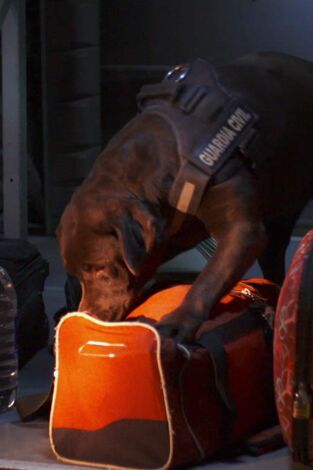 Control de fronteras: España: Episodio 16