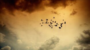 Desastre climático: Aire