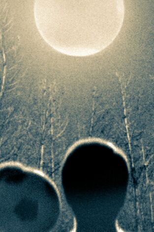 Extraterrestres: ellos están entre nosotros: La gran mentira