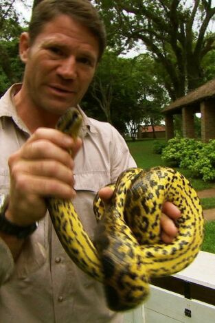 Fauna letal: Australia (I)