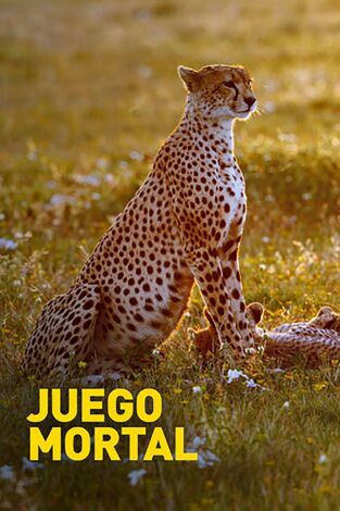 Perfect World/ juego mortal: A pocos segundos del desastre