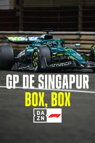 Mundial F1 - GP de Singapur (T2025): Box, Box
