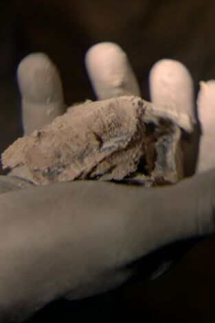 La batalla por el cobalto