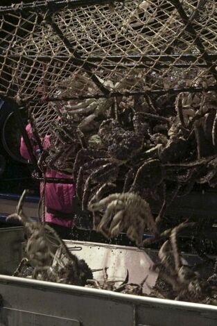 Pesca radical: Primera sangre