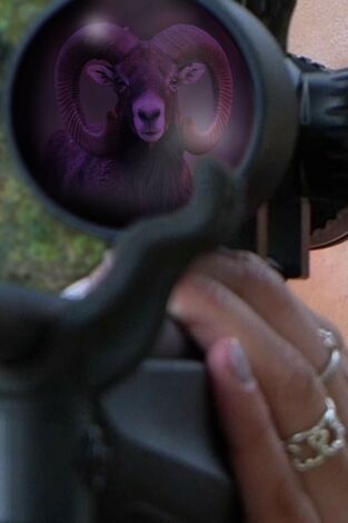 Muflones y sorpresas un rececho inesperado