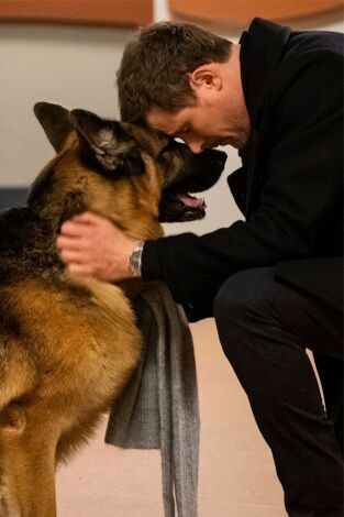 Hudson y Rex (T4): Ep.16 Los últimos días de perros