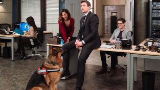 Hudson y Rex (T3): Ep.16 El arte de robar