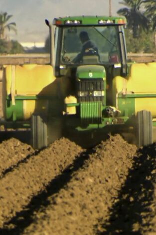 ¿Cómo lo hacen?: Ensalada / Cuerda / Insulina