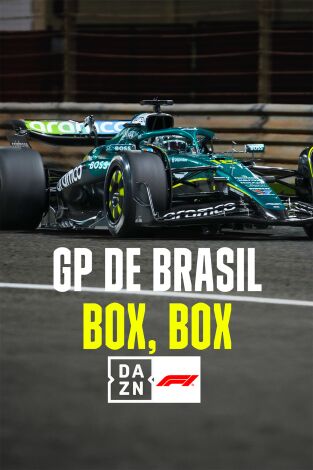 Mundial F1 - GP de Brasil (T2025): Box, Box