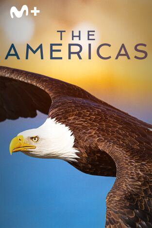 The Americas: Cómo se hizo The Americas