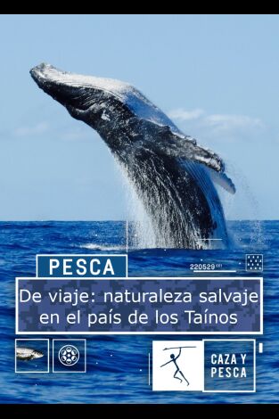 De viaje: naturaleza salvaje en el país de los Taínos