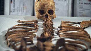 Los incas: auge y caída de un imperio: La edad de oro