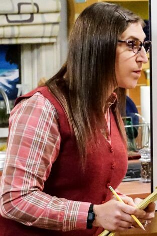 Big Bang (T11): Ep.10 La erosión de la seguridad