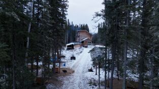 Los primeros habitantes de Alaska: Se lo llevó el lobo