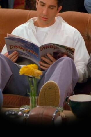 Friends (T2): Ep.21 El de los dos matones